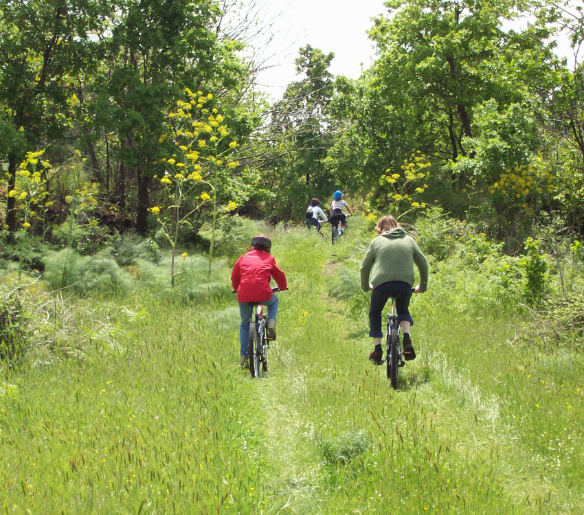OutSide Service: Mountain Bike